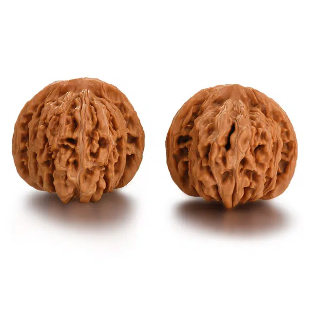 43-44mm