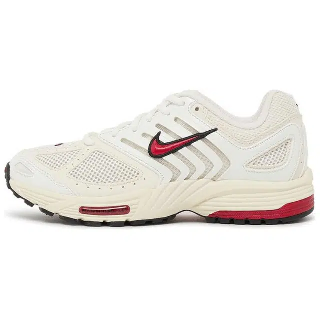 Nike Air Pegasus 2K5
