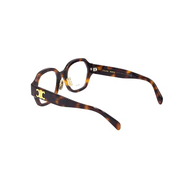 CELINE TRIOMPHE CL50134F