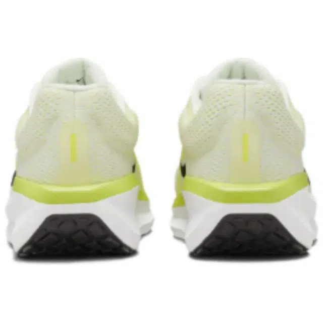 Nike AIR WINFLO 11