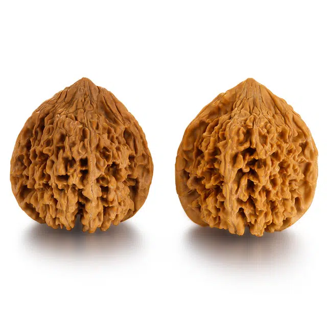 43-44mm
