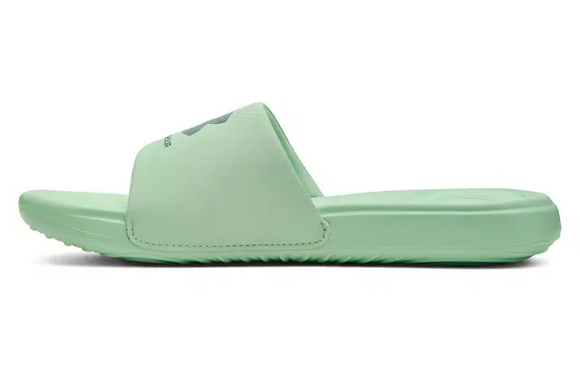 Under Armour Ansa