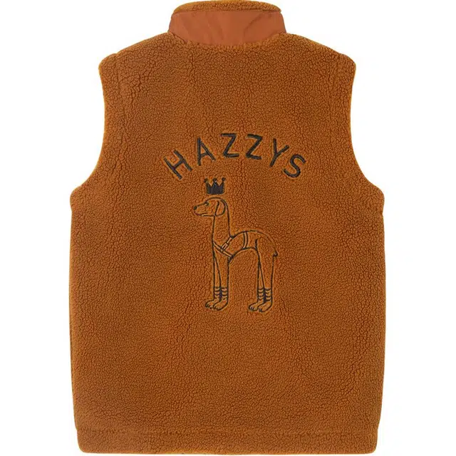 HAZZYS