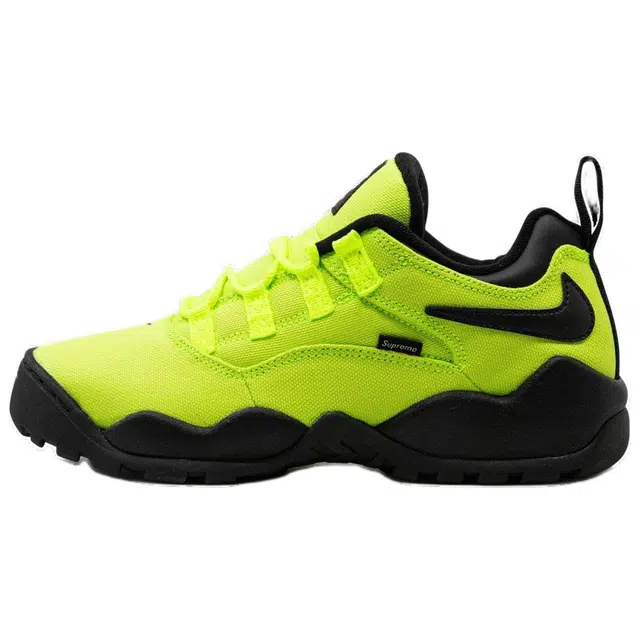 Supreme x Nike SB Darwin Low Fluorescent Green