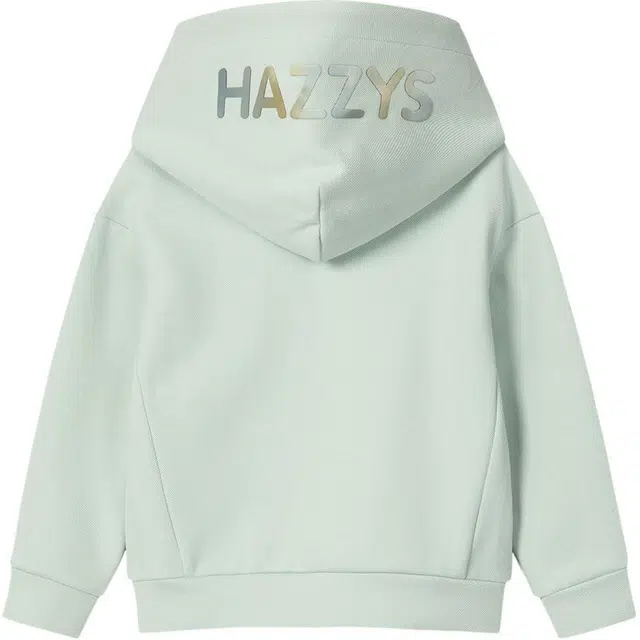 HAZZYS