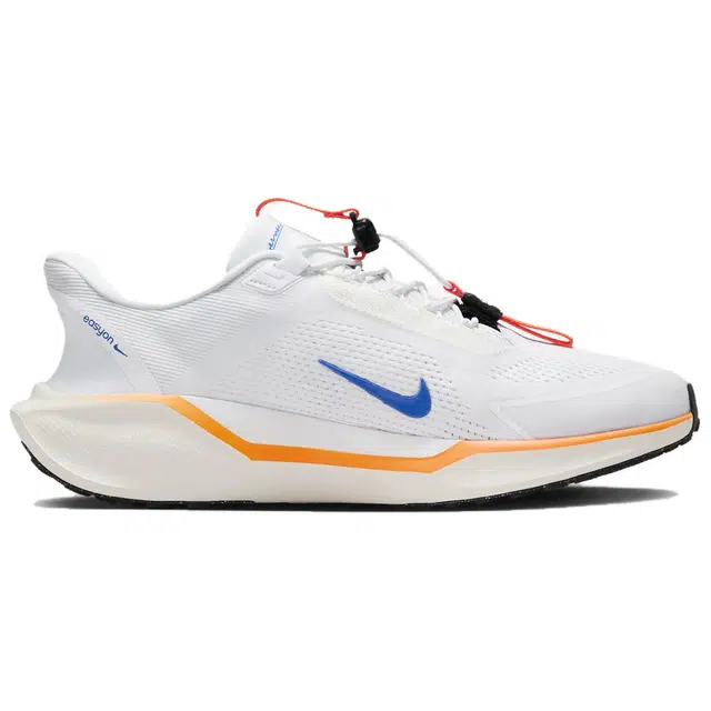 Nike Pegasus Ezion Blueprint