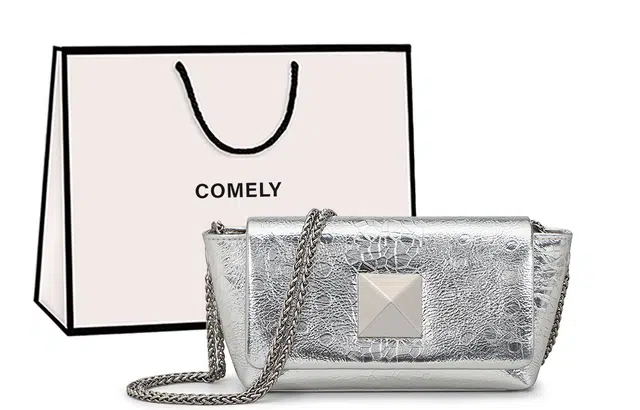 COMELY Small Chain Bag Silver