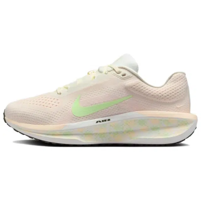 Nike AIR WINFLO 11
