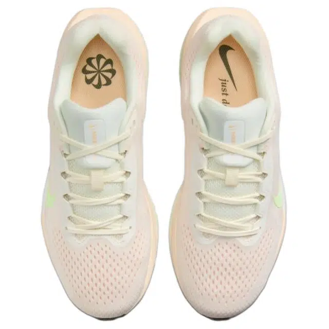 Nike AIR WINFLO 11