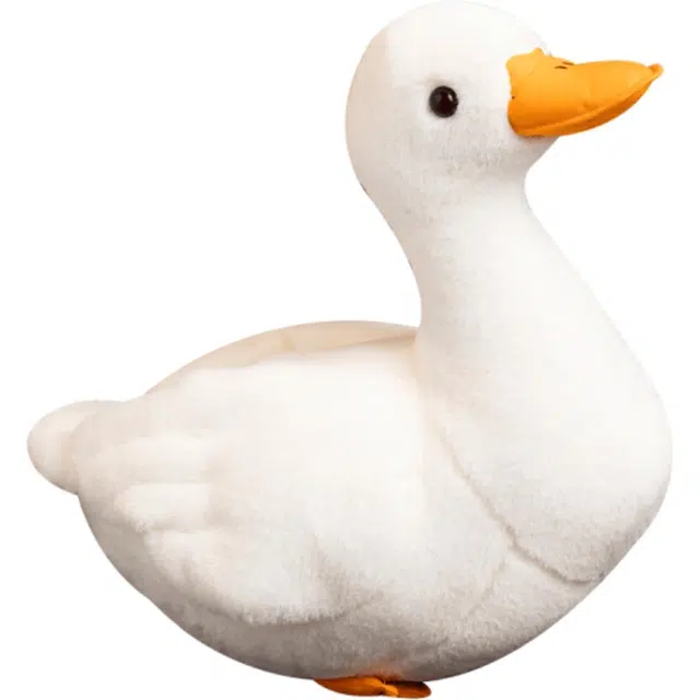 25cm42cm