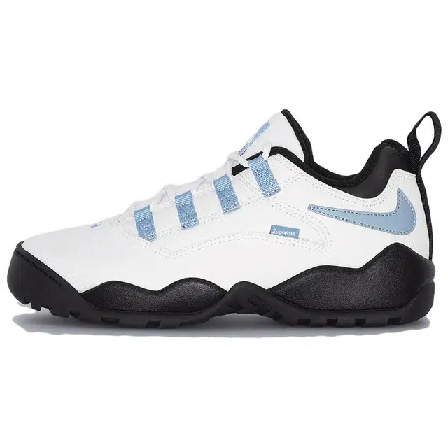 Supreme x Nike SB Darwin Low White