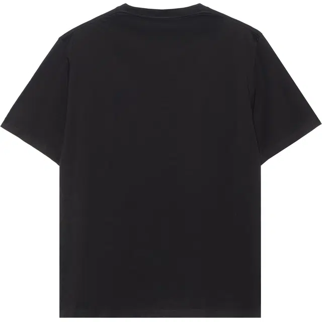 LOEWE T