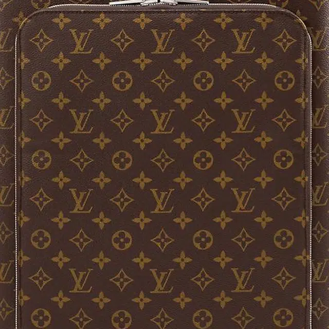 LOUIS VUITTON HORIZON BUSINESS Monogram