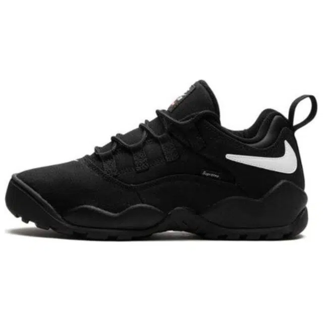 Supreme x Nike SB Darwin Low