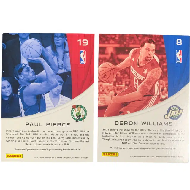 PANINI 2010-11