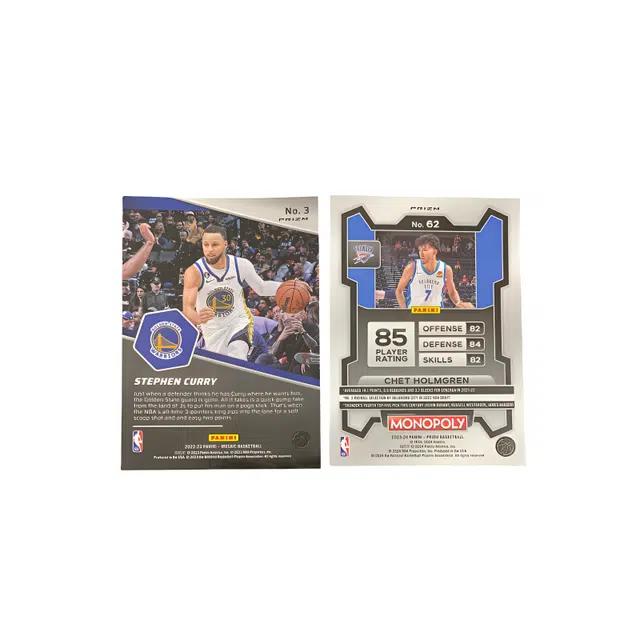 PANINI 2022-23 + 2024