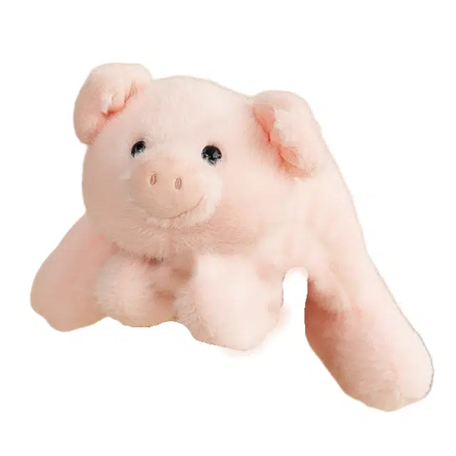 20cm