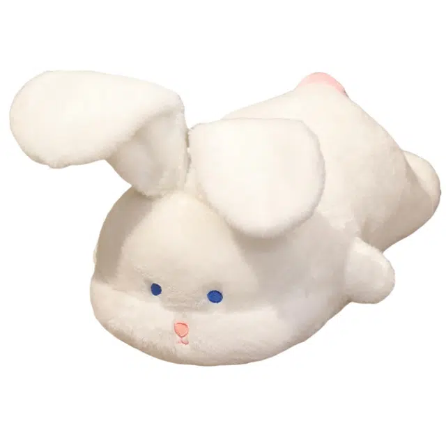 50cm
