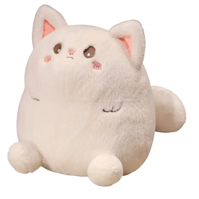 25cm35cm