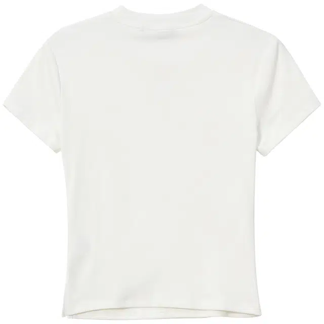 WESTLINK T