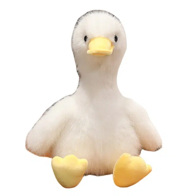35cm45cm