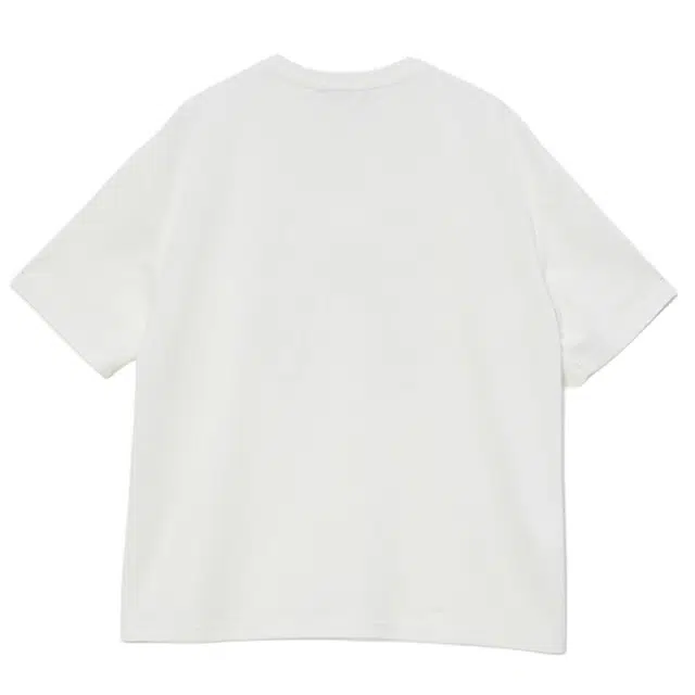 WESTLINK T