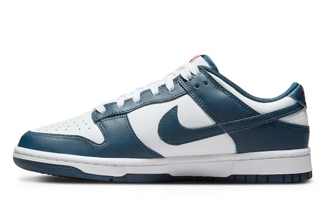 Nike Dunk FZBB