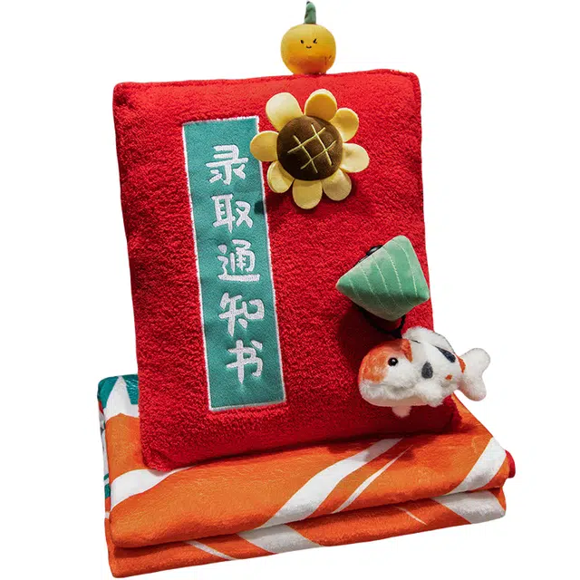 皮皮豆 逢考必过毯 简约美观抱枕 创意设计舒适柔软靠枕 玩偶周边