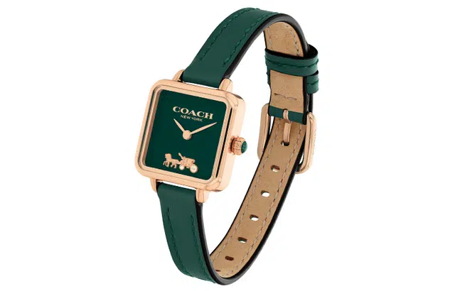 COACH CASS 22 30 14504227