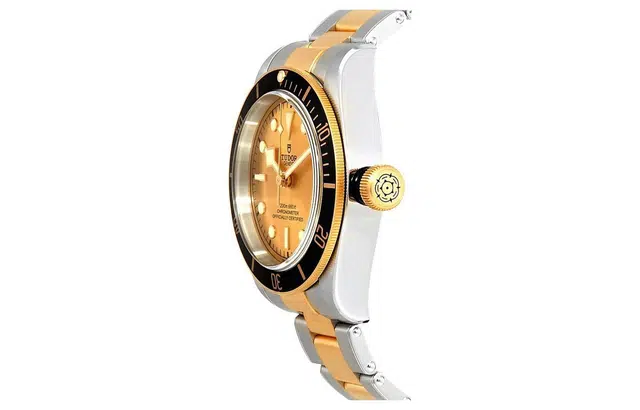 TUDOR 200m 41mm M79733N-0004