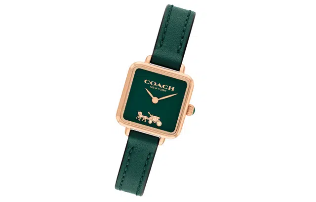 COACH CASS 22 30 14504227
