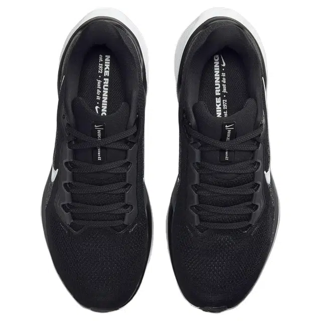Nike Pegasus 41