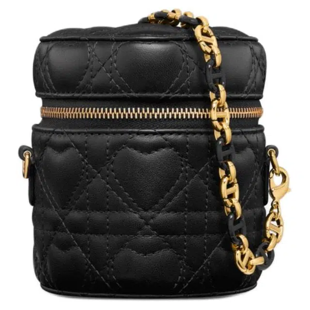 DIOR Caro micro