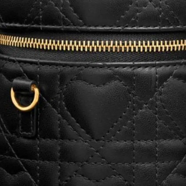 DIOR Caro micro
