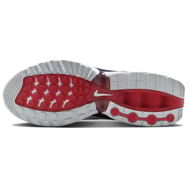 Nike Air Max Dn Team USA