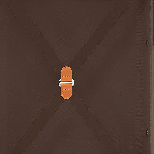 LOUIS VUITTON Horizon 55 Monogram Dust