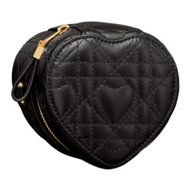 DIOR Caro micro