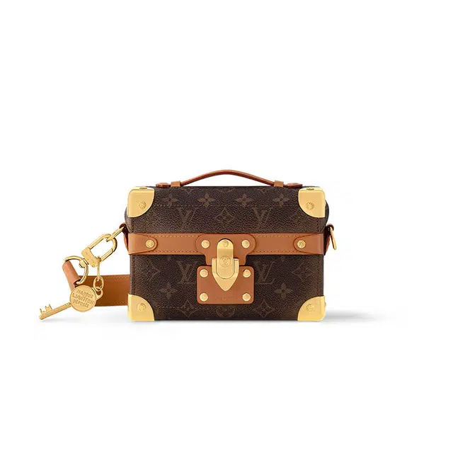 LOUIS VUITTON Trunk Monogram Dust