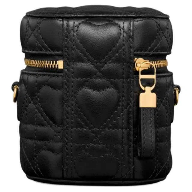 DIOR Caro micro