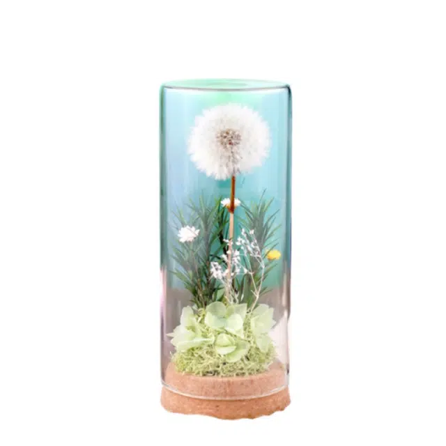 雄俊 蒲公英 永生花摆件 玩具