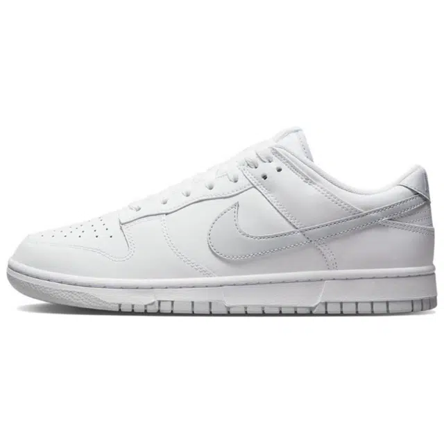 Nike Dunk LTDZ