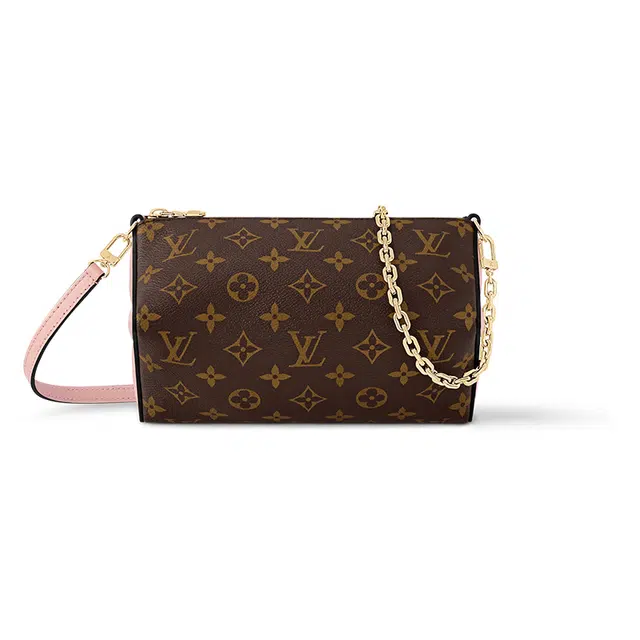 LOUIS VUITTON Bloom Pouch Monogram