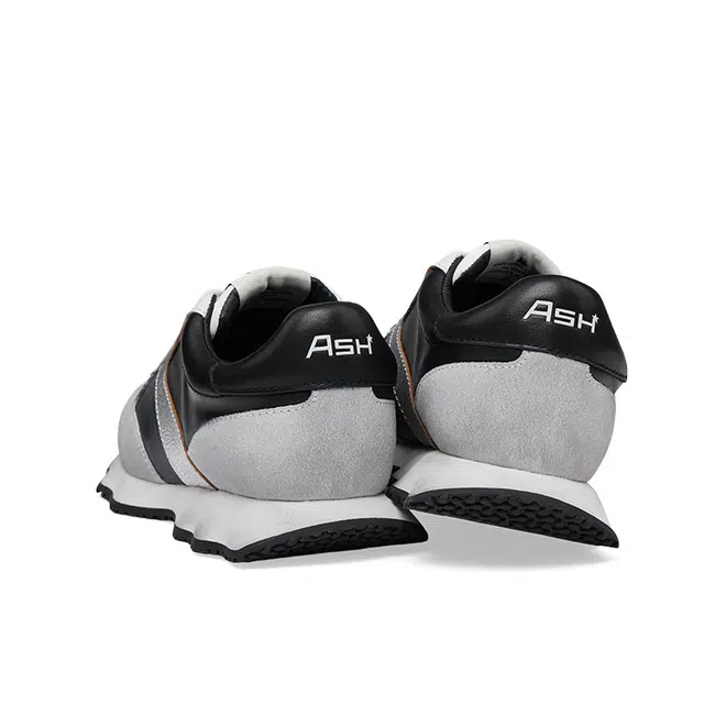ASH SCOOP