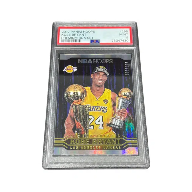 PANINI 2017-18 Hoops 2010 199 PSA9