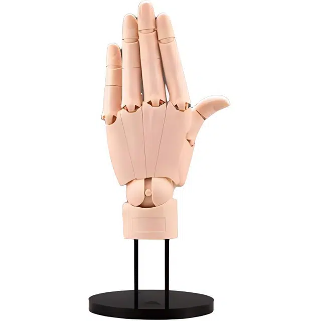HAND MODEL 21cm