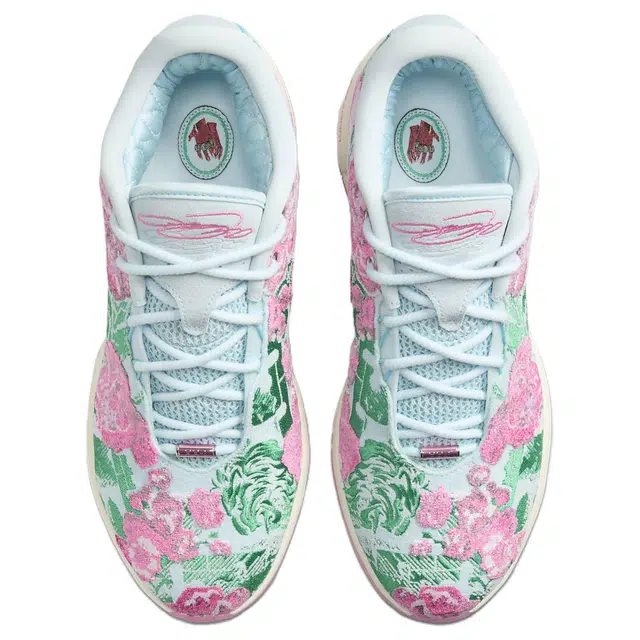 Nike Lebron 21