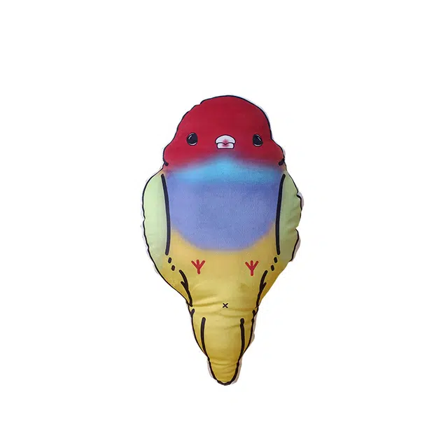 50cm