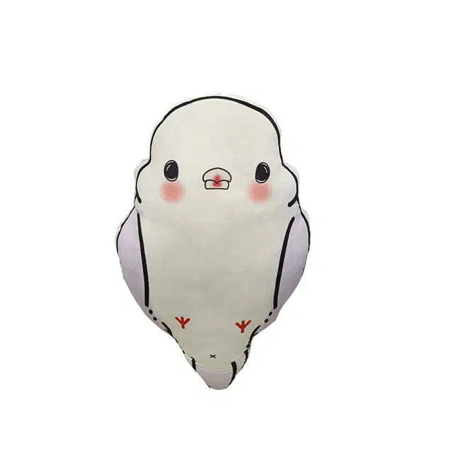 50cm