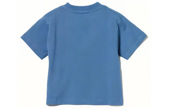 beams T