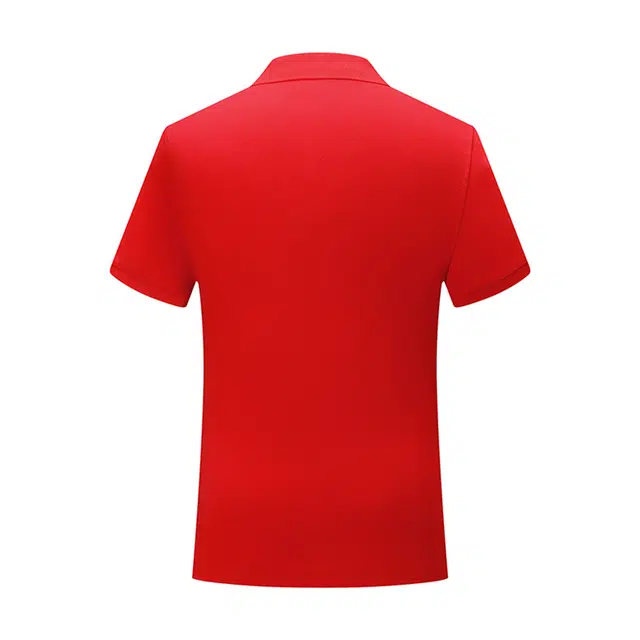 OKPI LogoPolo